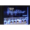 Усилитель-голова Hughes & Kettner TubeMeister 5 Head