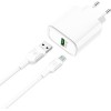 Сетевое зарядное Hoco C69A microUSB